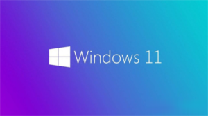【不忘初心游戏版】Windows11 24H2（26100.7623）X64 无更新[精简版][2.99G](2026.1.15) 苹果mac字体 推荐13-15代CPU 游戏、办公、直播