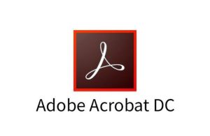 Adobe Acrobat Pro 2025 v25.1.21078 x86 中文特别版