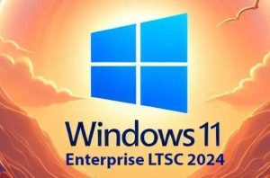 不忘初心】Windows11 LTSC2024（26100.7623）X64 纯净[深度精简版][1.5G](2026.1.16)