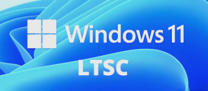 【不忘初心游戏版】Windows11 LTSC2024（26100.7705）X64 无更新 [精简版][2.93G](2026.1.31) 苹果mac字体 推荐13代及以上CPU 游戏、办公、直播